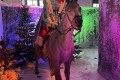 IMG_6690