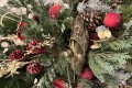 IMG_6708