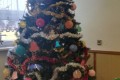 IMG_20241129_142931