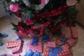 IMG_20241220_124607