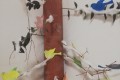IMG_20250123_065824