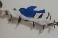 IMG_20250123_065830