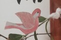 IMG_20250123_065841