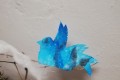 IMG_20250124_063220
