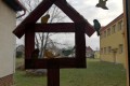 IMG_20250127_084338