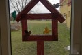 IMG_20250127_084350