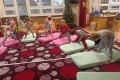 IMG_20250117_085144