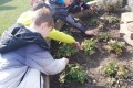 IMG_20250402_141811