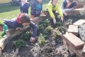 IMG_20250402_142311