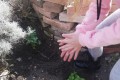IMG_20250402_143154_1