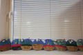 IMG_20250304_063235