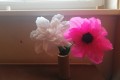 IMG_20250306_083002