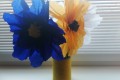IMG_20250306_083042