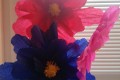 IMG_20250306_083147