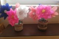 IMG_20250306_140137