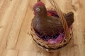 IMG_20250304_093051