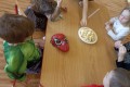IMG_20250304_094533