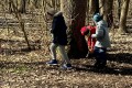 IMG_5581