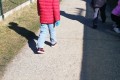 IMG_20250319_142641