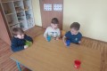 IMG_20250325_092635
