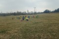 IMG_20250326_103011