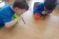 IMG_20250327_094451