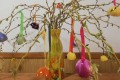IMG_20250328_155047