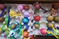 IMG_20250331_113805