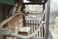 IMG_20250408_095933