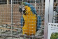 IMG_20250408_110901