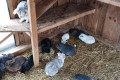 IMG_20250408_111806