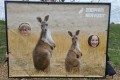 IMG_20250408_112226