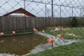 IMG_20250408_113259