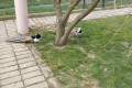 IMG_20250408_113311