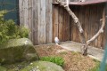 IMG_20250408_114039