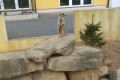 IMG_20250408_114351