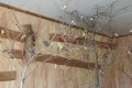 IMG_20250408_114709