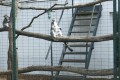 IMG_20250408_114841