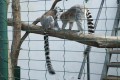 IMG_20250408_114850
