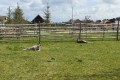 IMG_20250408_115512