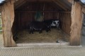 IMG_20250408_120533
