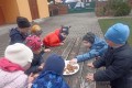 IMG_20250408_102143