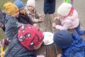 IMG_20250408_102326