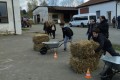 IMG_20250410_112738