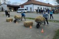 IMG_20250410_112851