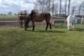 IMG_20250410_115646