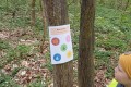 IMG_20250415_110051