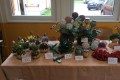IMG-20240415-0008