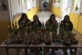 IMG-20240415-0009