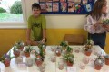IMG-20240415-0013
